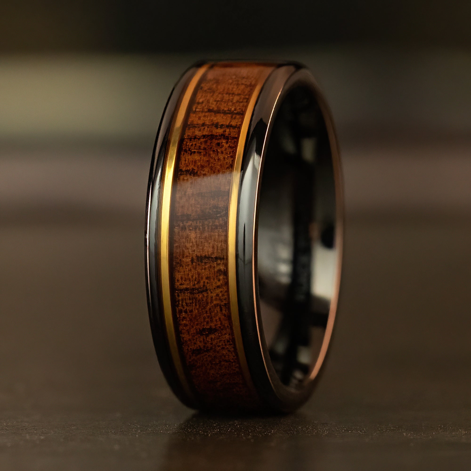 Black Titanium Ring Gold Strip